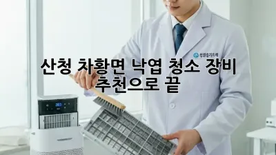 🍂 산청 차황면 낙엽 청소, 장비 추천으로 끝! 🧹✨